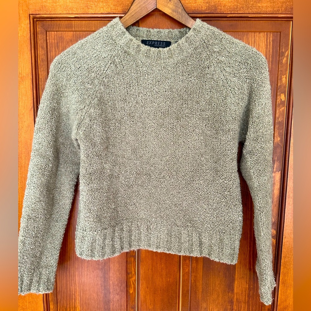 Express Women’s Sweater